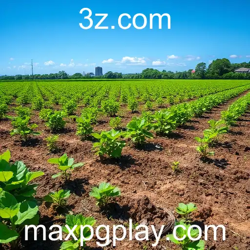 Transformações Digitais e Sustentabilidade Impulsionam o Brasil